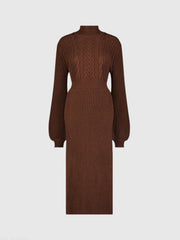 Brown Long Sleeve Turtle Neck Knit Midi Dress