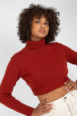 Rust orange wool cropped turtleneck jumper