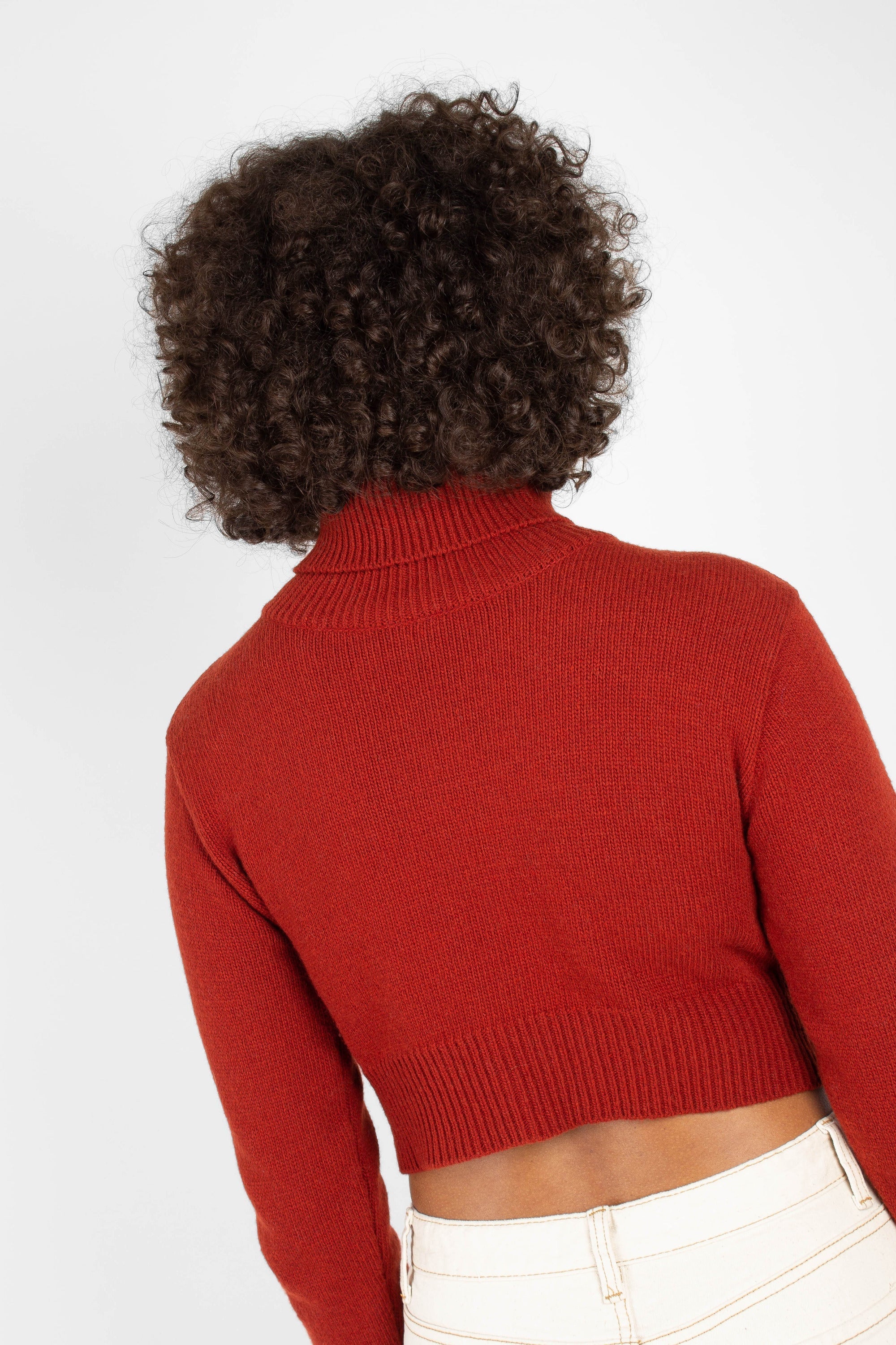 Rust orange wool cropped turtleneck jumper