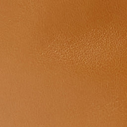 Leyden Mini bag