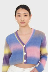 Rainbow thick striped cropped knit top