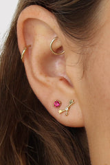 Gold birthstone zodiac earrings / Jul - Ruby red